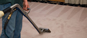 Geelong Carpet Cleaning